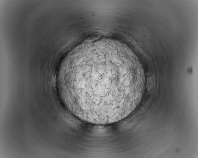 X0000100970613200807151353