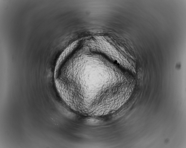 X0000100970614200807151353