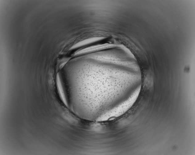 X0000100970616200807151353