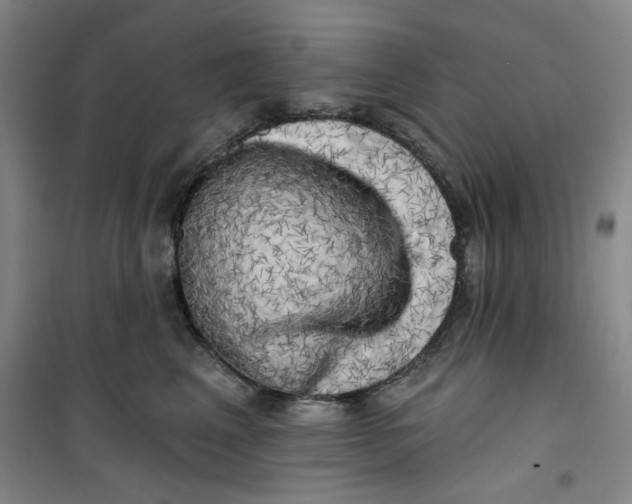 X0000100970617200807151353