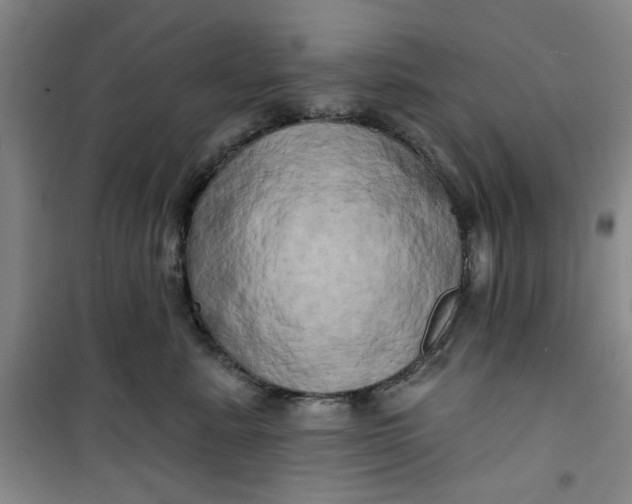 X0000100970619200807151353