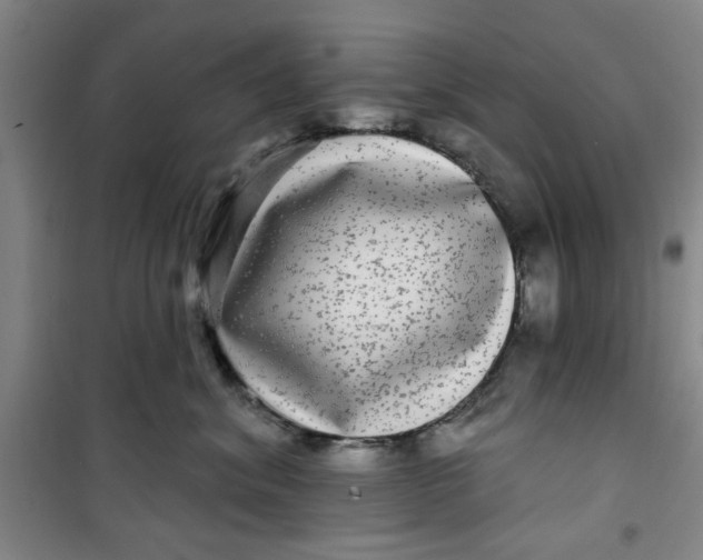 X0000100970620200807151353