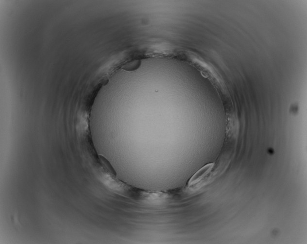 X0000100970621200807151353