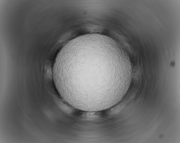 X0000100970622200807151353