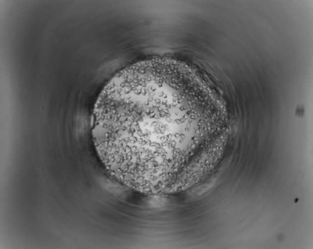 X0000100970623200807151353
