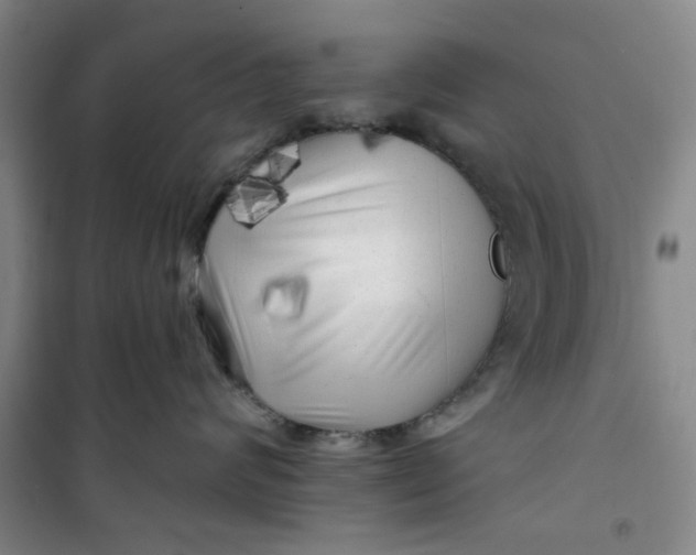 X0000100970624200807151353