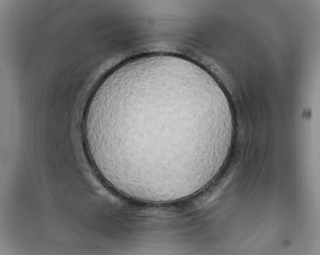 X0000100970625200807151352