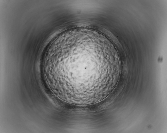 X0000100970626200807151352
