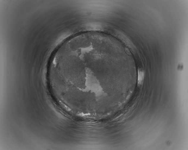 X0000100970627200807151352