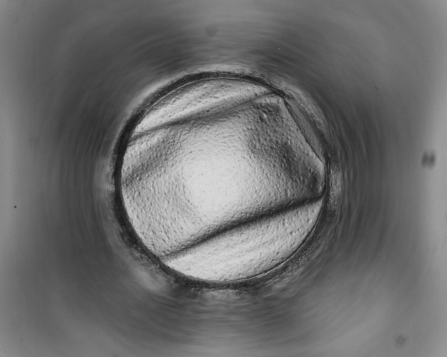 X0000100970628200807151352