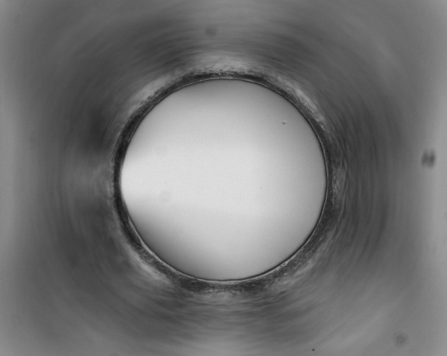 X0000100970629200807151352