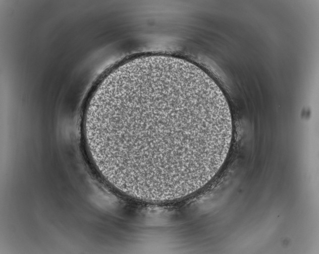 X0000100970632200807151352