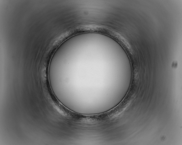 X0000100970633200807151352