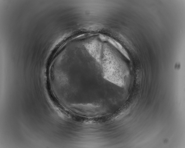 X0000100970634200807151352
