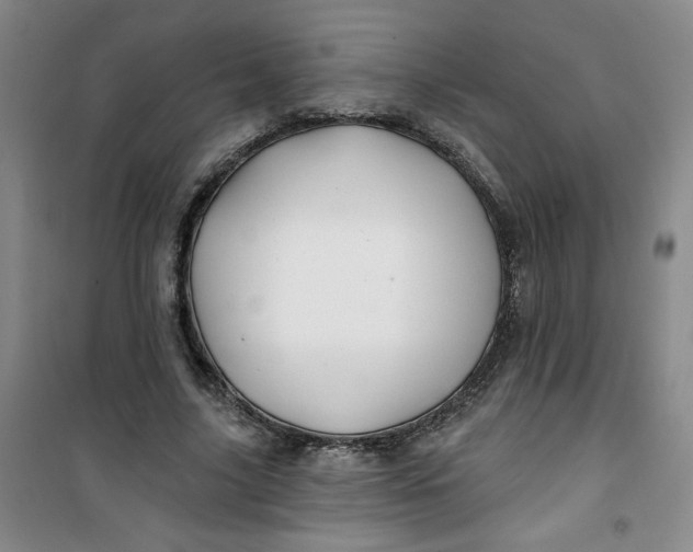 X0000100970635200807151352