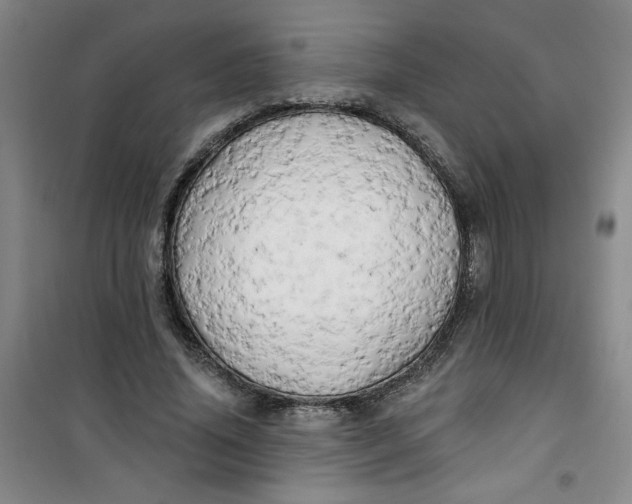 X0000100970636200807151352