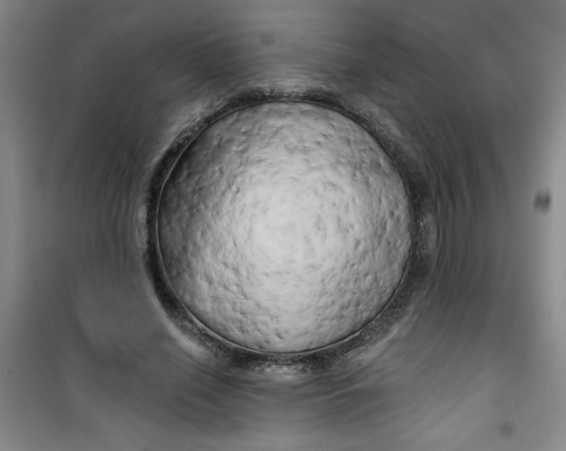 X0000100970638200807151352