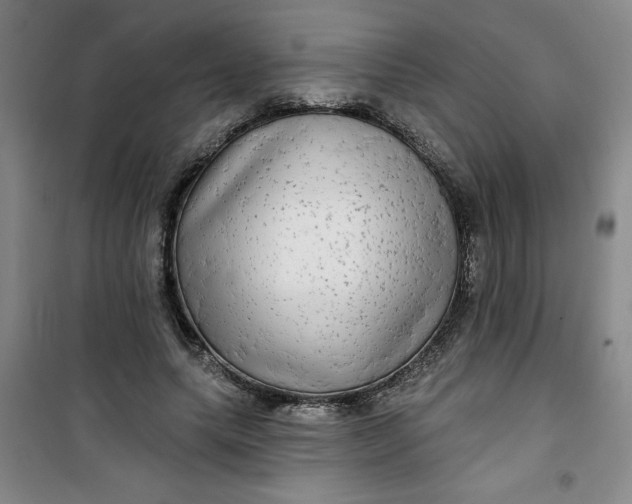 X0000100970639200807151352