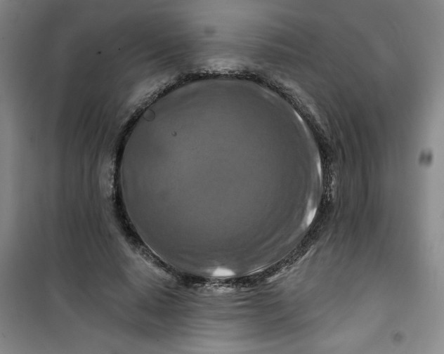 X0000100970640200807151352