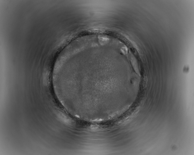 X0000100970641200807151352