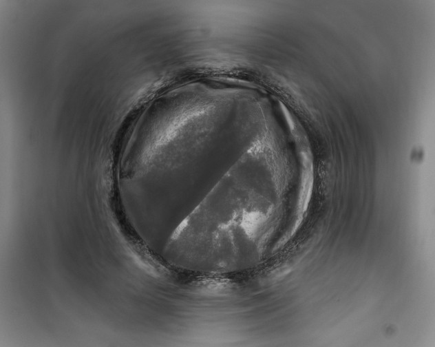 X0000100970642200807151352