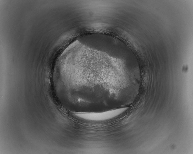 X0000100970643200807151352