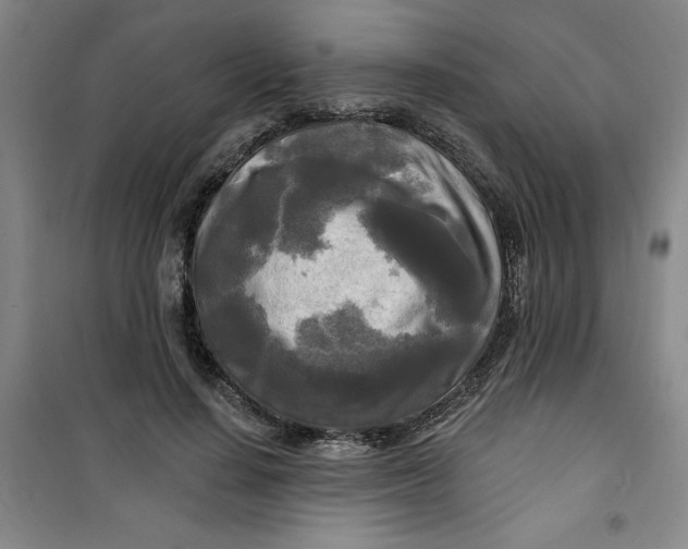 X0000100970644200807151352