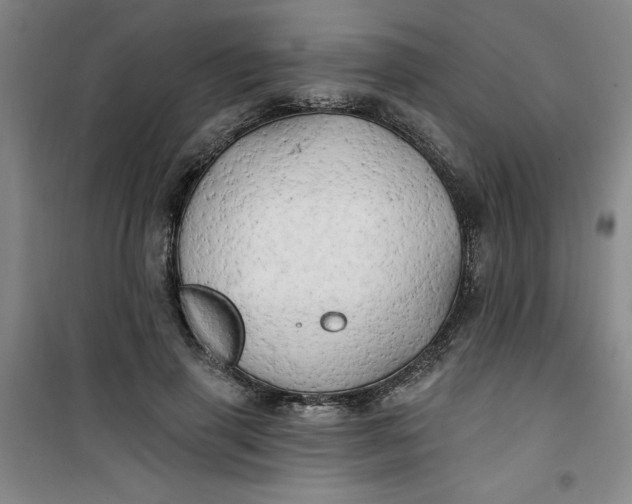 X0000100970645200807151352