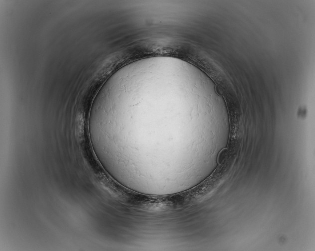 X0000100970646200807151352