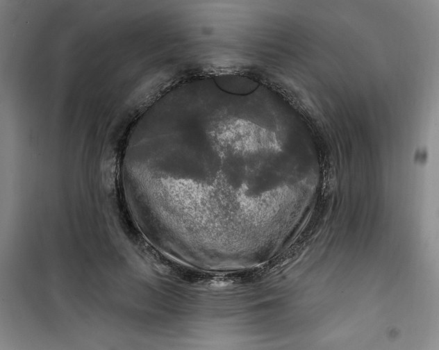 X0000100970647200807151352