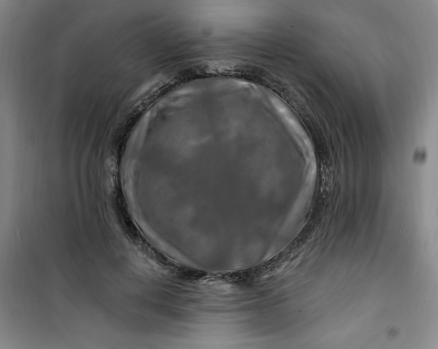 X0000100970648200807151352