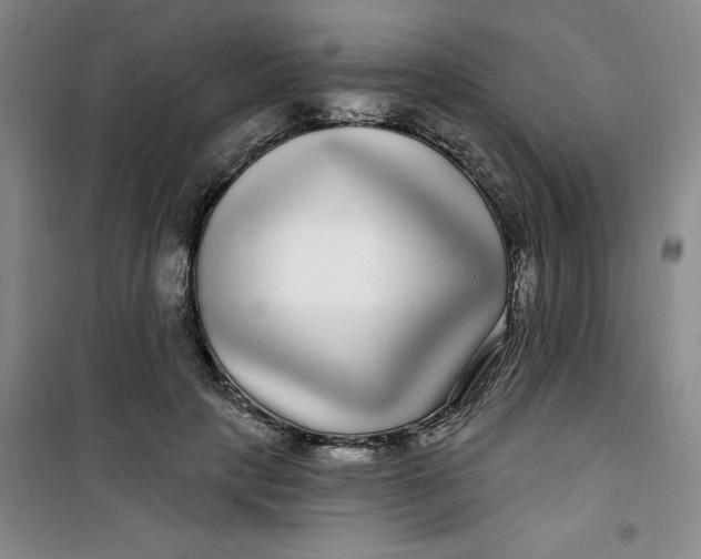 X0000100970649200807151352
