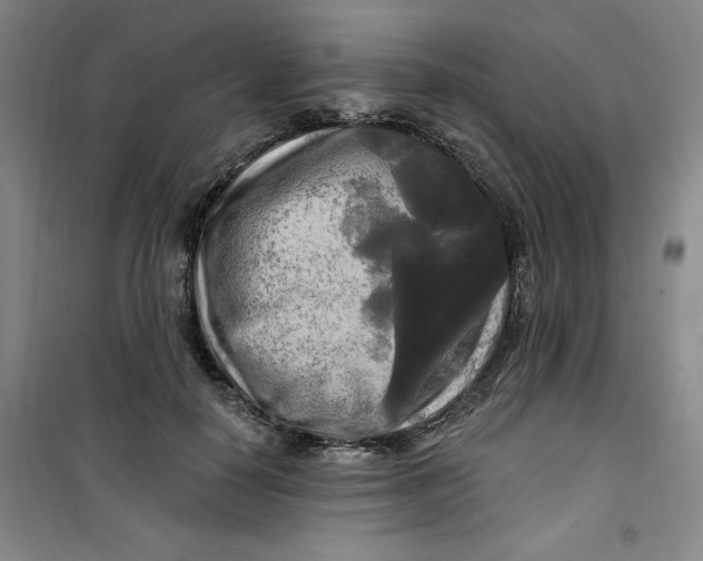 X0000100970650200807151352