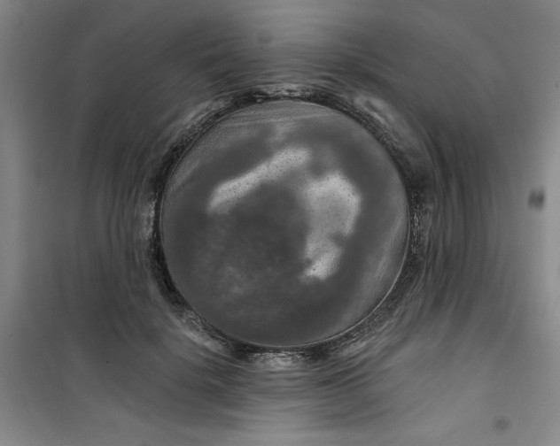 X0000100970652200807151352