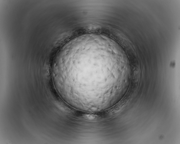X0000100970654200807151352