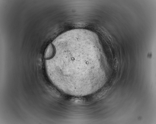 X0000100970655200807151352