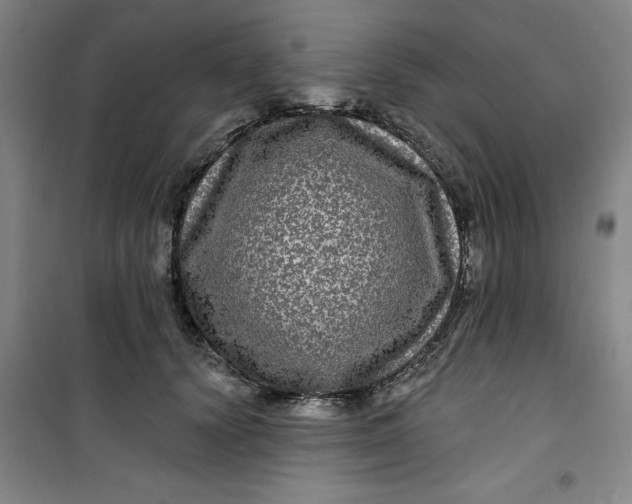 X0000100970656200807151352