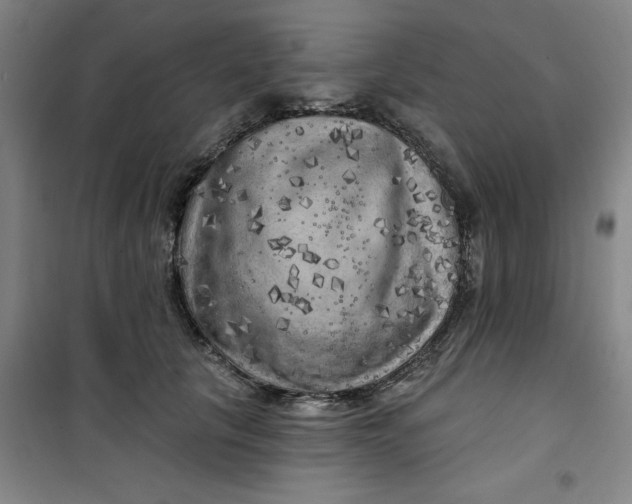 X0000100970657200807151352