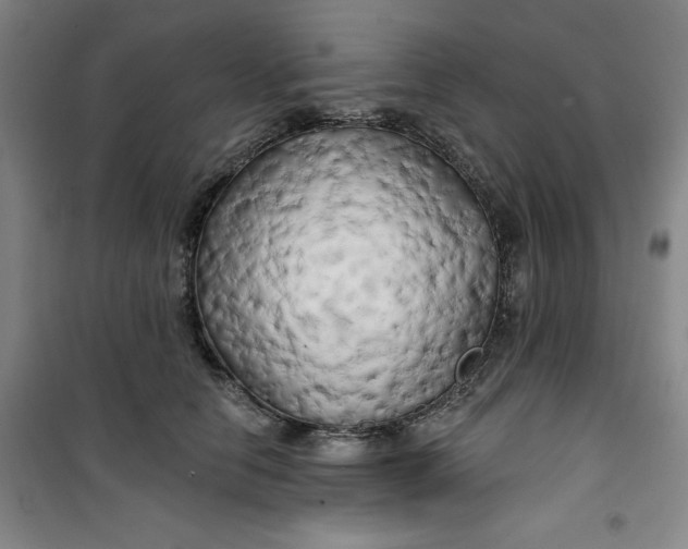 X0000100970658200807151352