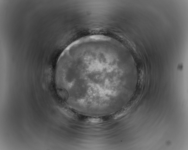 X0000100970659200807151353