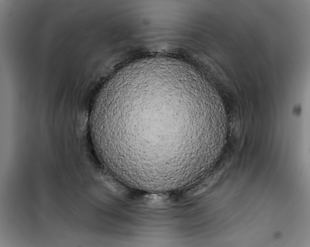 X0000100970660200807151353