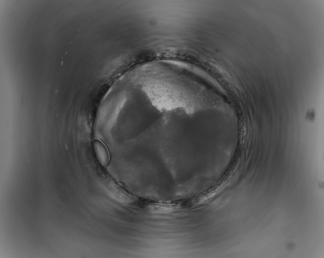 X0000100970661200807151353