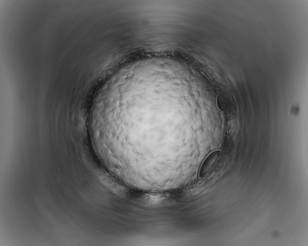 X0000100970662200807151353