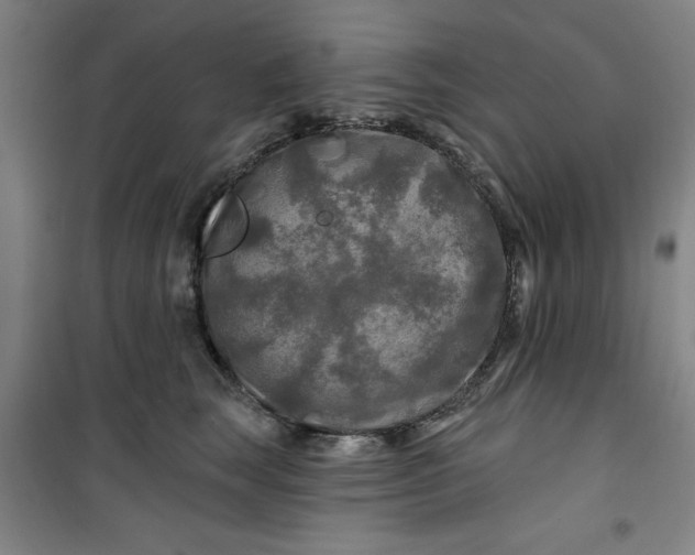 X0000100970663200807151353