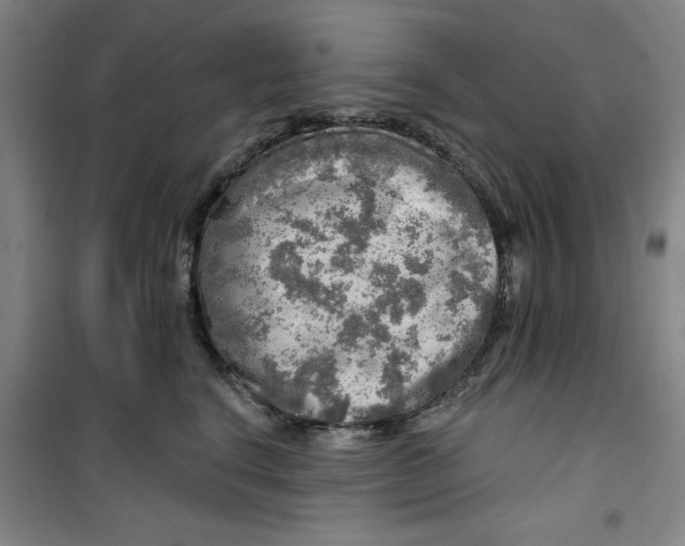 X0000100970664200807151353