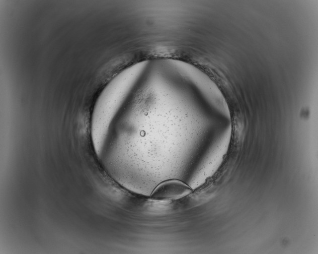X0000100970665200807151353