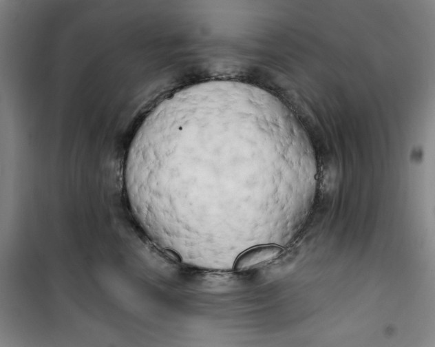 X0000100970666200807151353