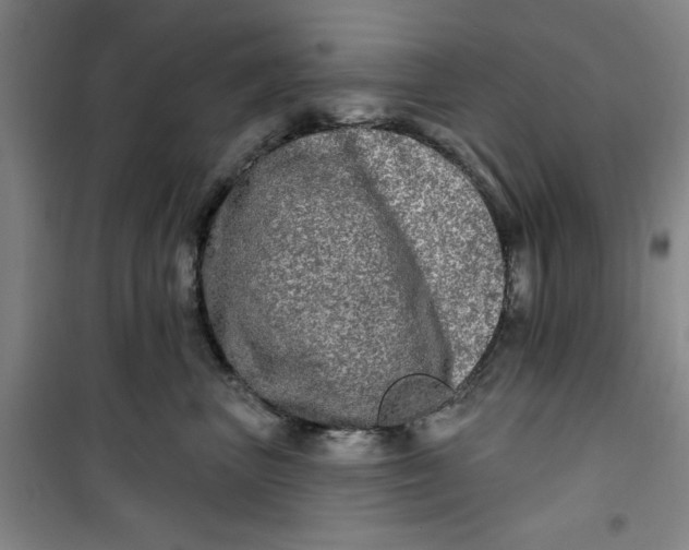 X0000100970667200807151353