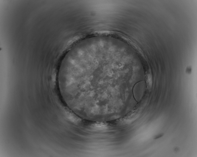 X0000100970668200807151353