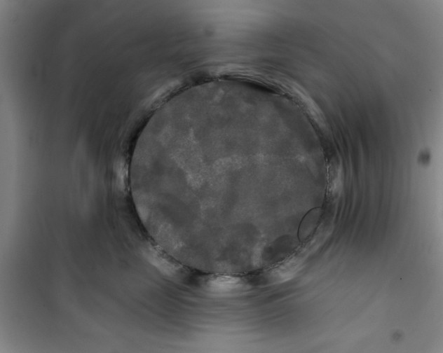 X0000100970669200807151353